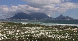 Shambhala Spring in Cape Town!
