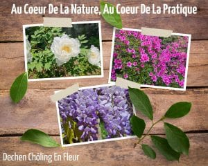 The Dechen Chöling Garden, experimenting with our 6 senses!