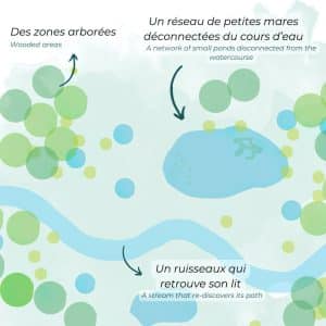 Schema for Pond